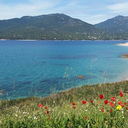 Studio T1 Bis Vue Mer Propriano Propriano  Dış mekan fotoğraf